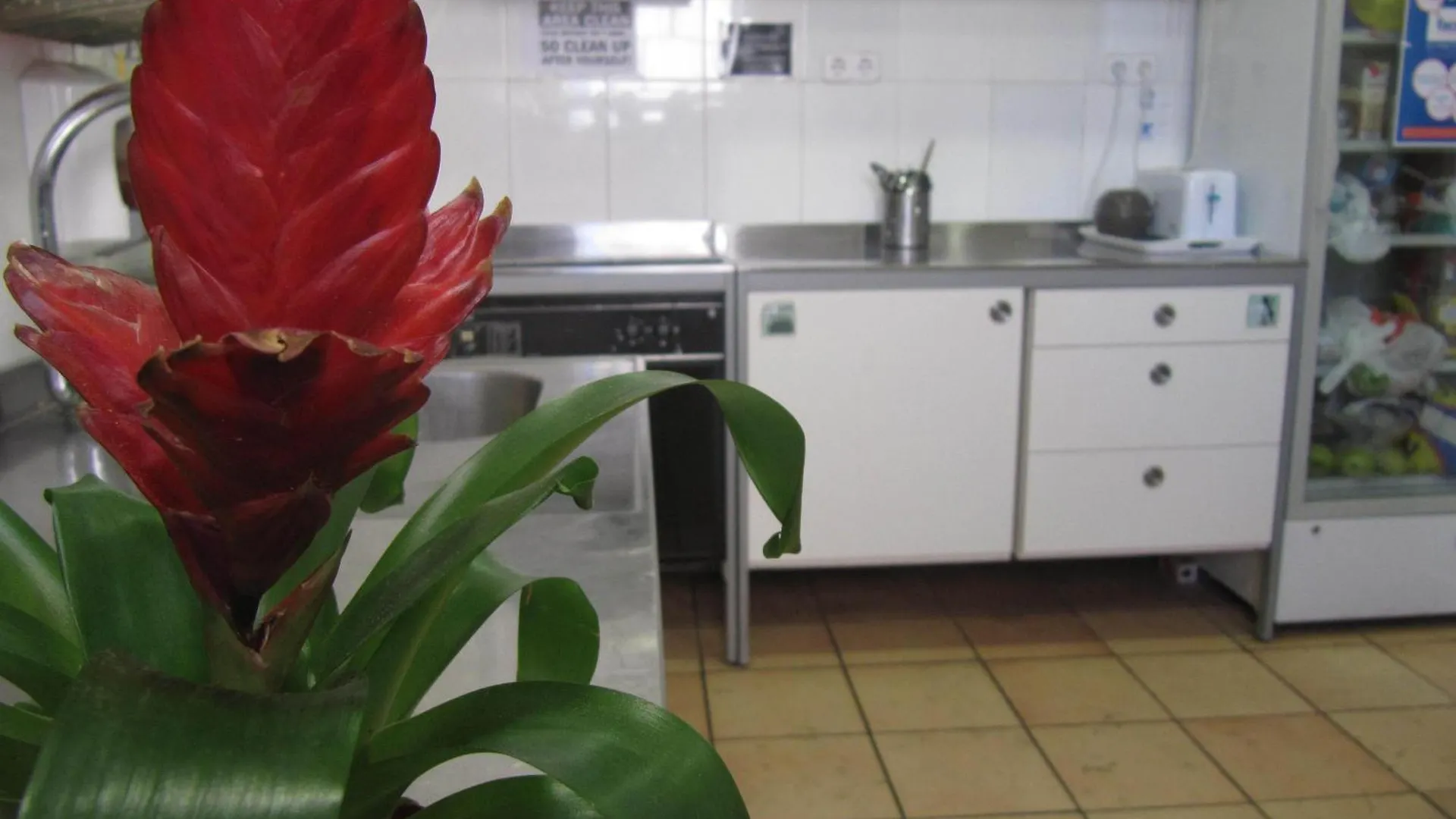Hostel Mellow Barcelona